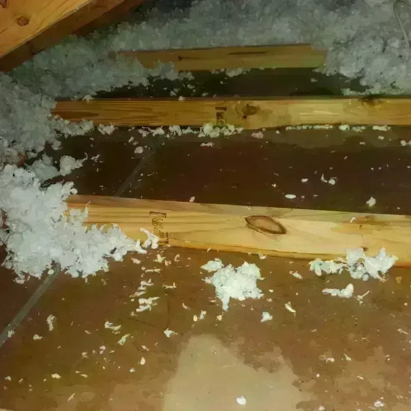 Attic Water Damage in Lone Jack, MO